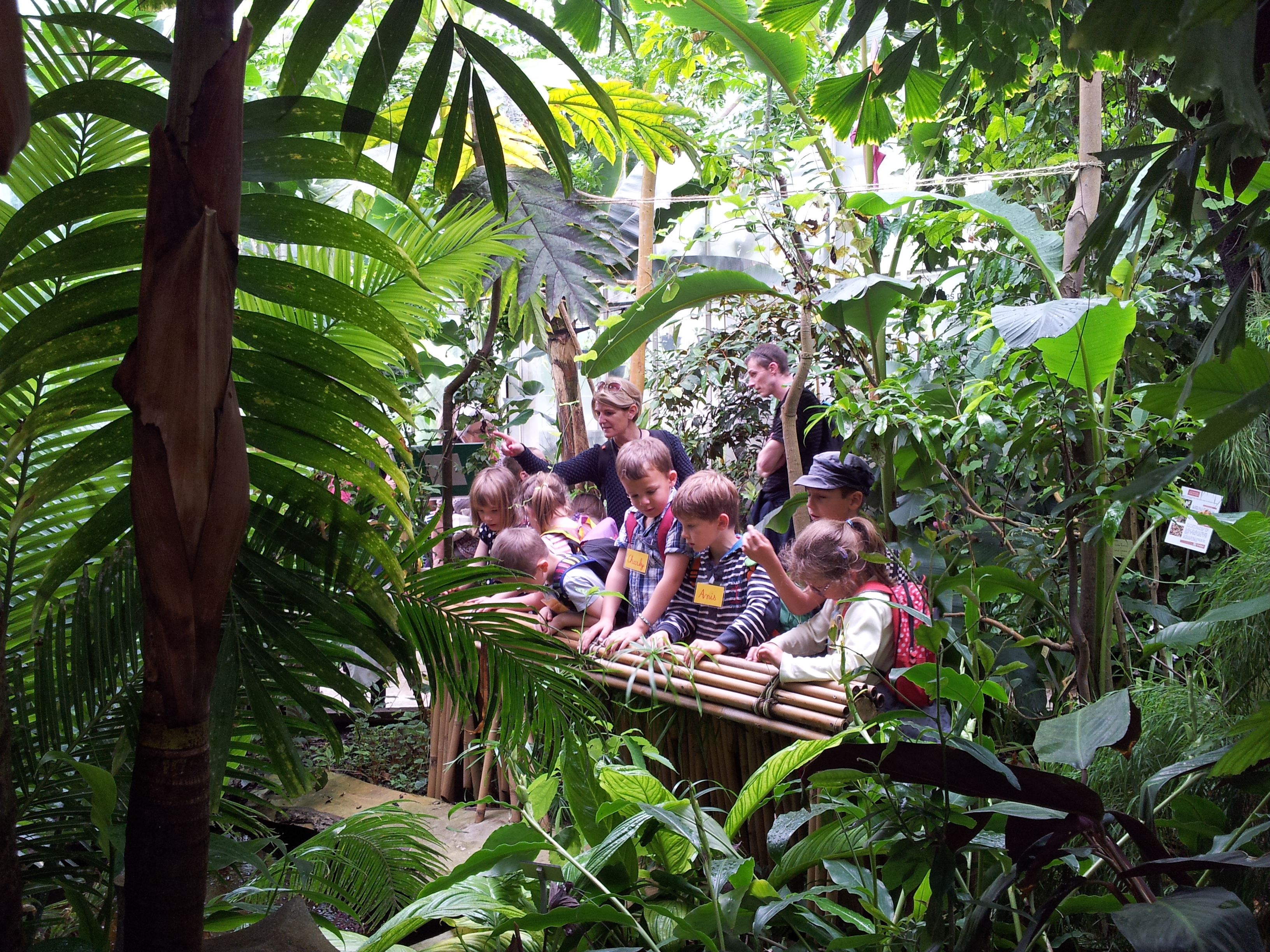 Les MS-GS au jardin des plantes de Caen