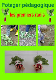 Les petits jardiniers ont mangé leurs radis!