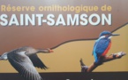 Visite de la réserve ornithologique de St Samson Visite de la réserve ornithologique de St Samson