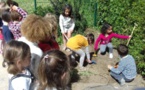 Nos plantations dans le potager de l'école