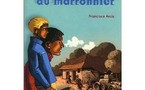 Littérature: le mystère du marronnier