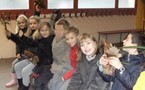 Les futurs chênes Les futurs chênes