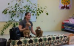 Animation sur les animaux Animation sur les animaux