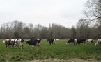 Visite de la ferme