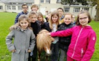 Animation sur les poneys en CE1/CE2 Animation sur les poneys en CE1/CE2