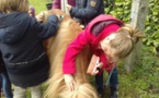 Découverte des poneys GS/CP Découverte des poneys GS/CP