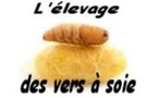 Fin de l'élevage !