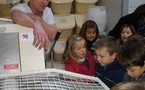 Visite à la boulangerie Visite à la boulangerie