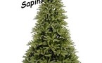 Vente de sapins