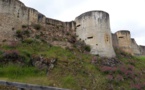 Visite du Château de Falaise