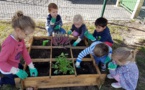 Jardinage d'automne en maternelle