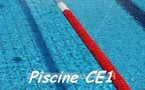 Reprisede la piscine