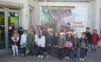 L'aquarium de Trouville sur Mer