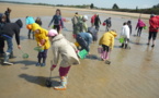 Les CP/CE1 découvrent la pêche à pied...