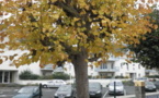 Rentrée d'automne