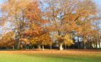 Les MS au  Parc de la Fossette