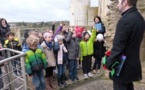 Les CP/CE1 visitent le château de Falaise