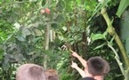 Visite au jardin tropical de Honfleur