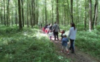 Promenons-nous dans la forêt de Balleroy