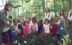 Sortie scolaire à la forêt de Balleroy