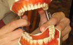 Les empreintes de dents