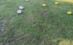 Le rugby c'est parti en maternelle  !!!
