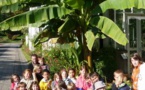 Les GS/CP visitent le jardin des plantes