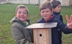 Fabrication d'un nichoir à mésanges