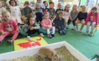 Un lapin à l'école !