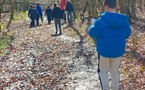 Sortie en forêt de Cerisy