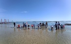 la pêche à pied en MS