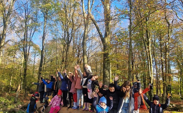 Sortie à la forêt de Cerisy