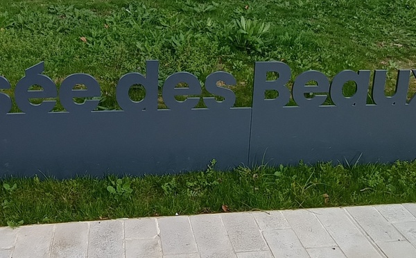 Les MS visitent le musée des Beaux Arts