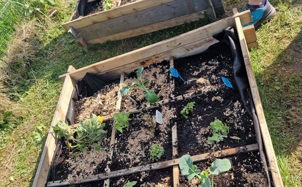 Semaine du jardinage à l'école