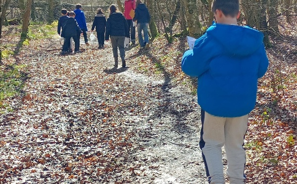 Sortie en forêt de Cerisy