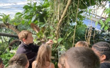 Sortie pédagogique au jardin des plantes