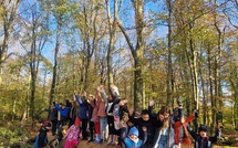 Sortie à la forêt de Cerisy