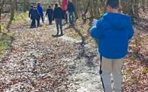Sortie en forêt de Cerisy