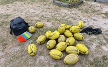 Rugby en MS