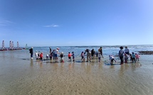 la pêche à pied en MS