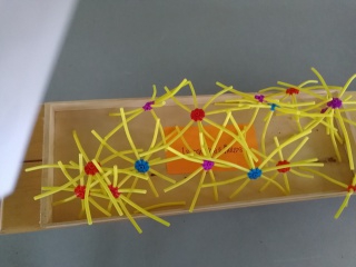 IMG_20190207_172222 IMG_20190207_172222