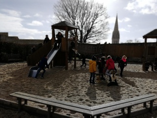 IMG_20190308_104930 IMG_20190308_104930