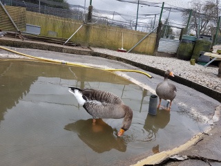 20190319_111312 (1280x960) 20190319_111312 (1280x960)