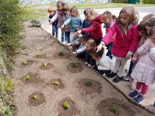 20190507_161559 (1350x1013) 20190507_161559 (1350x1013)