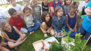 20190627_111129 - Copie 20190627_111129 - Copie