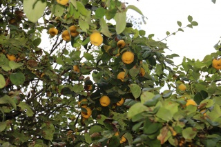 2019-10-12_0033 2019-10-12_0033