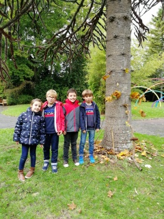 IMG_20191017_153103 IMG_20191017_153103