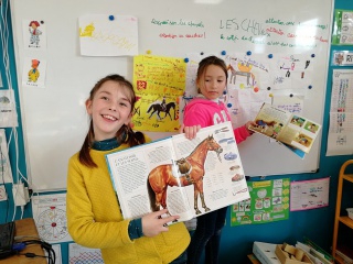 IMG_20200128_153955_resized_20200129_093558782 IMG_20200128_153955_resized_20200129_093558782