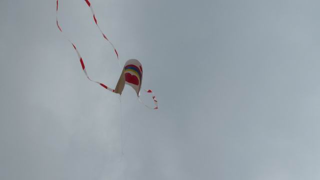 Redimensionnement de P1010255 Redimensionnement de P1010255