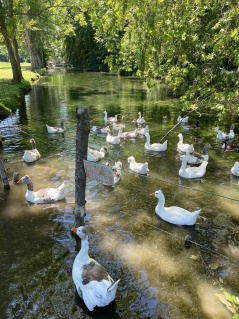 _copie-0_IMG_0749 _copie-0_IMG_0749